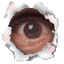 icone