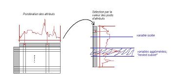 Le processus de slection d'attributs en deux temps