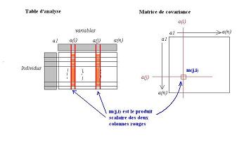 schma d'explication pour la construction de la matrice de covariance  partir de la table d'analyse