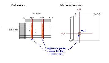 schéma d'explication pour la construction de la matrice de covariance à partir de la table d'analyse