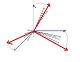 un schma de rotation des individus vecteurs